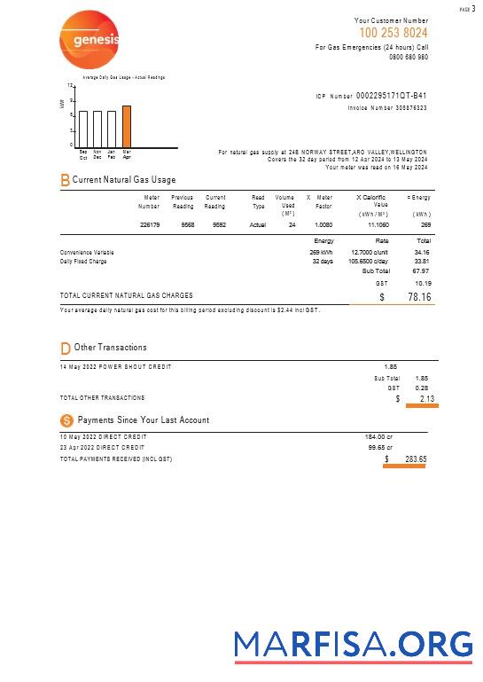 Realistic New Zealand Genesis Gas utility bill 3 pages example